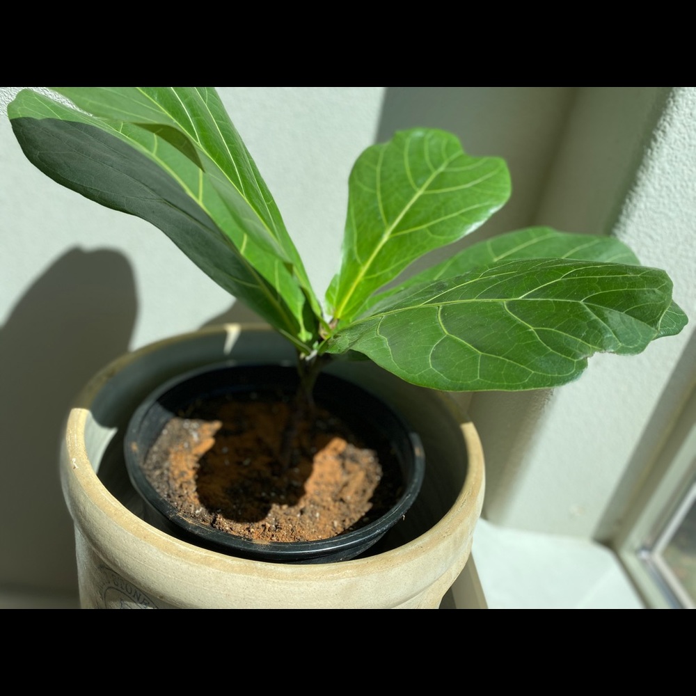 Meet your Posher, Linda